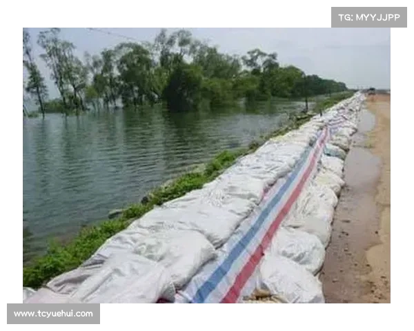 直击洞庭湖决堤现场：村民紧急行动，冰箱堆上堤坝守护家园