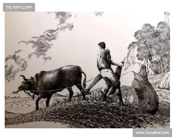 穿越历史的阴影：知青吃人事件揭秘，极端饥饿与情感崩溃的交织