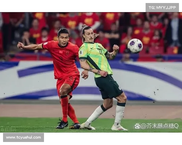 国际足联俱乐部世界杯米尔沃尔球迷助威